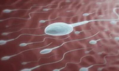 5 Sperm-killing Foods Men Should Avoid