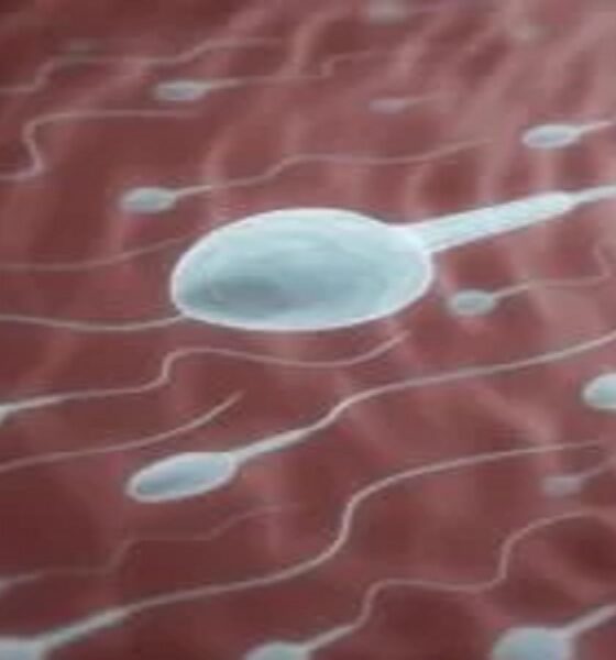 5 Sperm-killing Foods Men Should Avoid